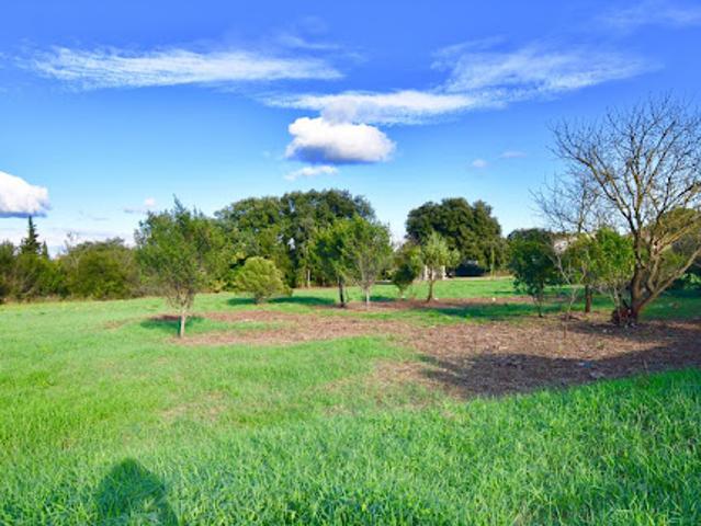 Vente Terrain 1550 m2 Pouzilhac