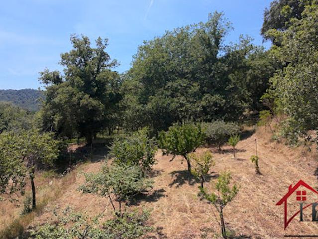Vente Terrain 1557 m2 Collobrières