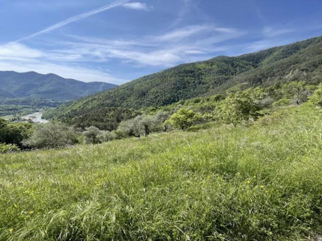Vente Terrain 15590 m2 Roquebillière
