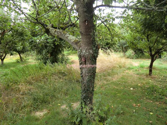 Vente Terrain 1566 m2 Masseube