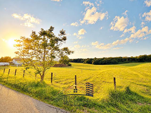 Vente Terrain 1566 m2 Volstroff