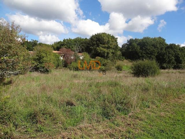 Vente Terrain 1567 m2 Douzillac