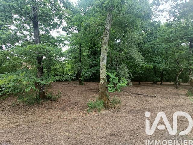 Vente Terrain 1567 m2 Le Pian Médoc