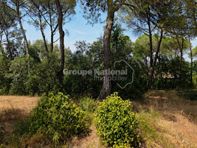 Vente Terrain 1567 m2 Sabran