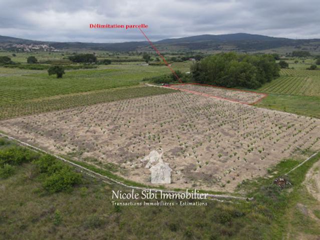Vente Terrain 1578 m2 Estagel