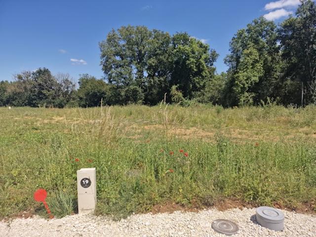 Vente Terrain 15840 m2 Pleumartin