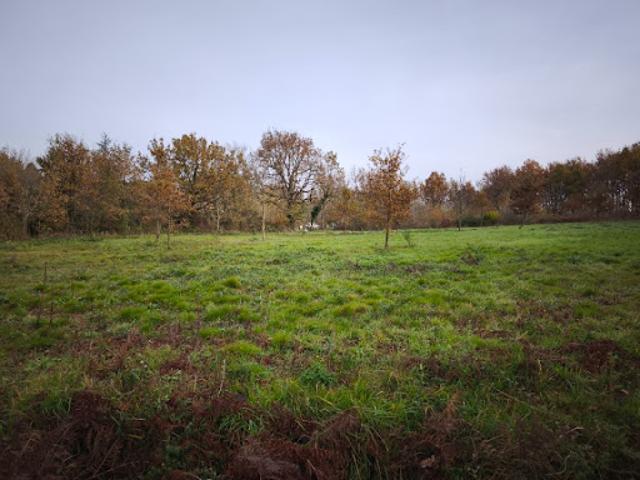 Vente Terrain 1584 m2 Damiatte