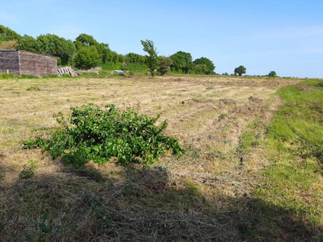Vente Terrain 1585 m2 Couhé