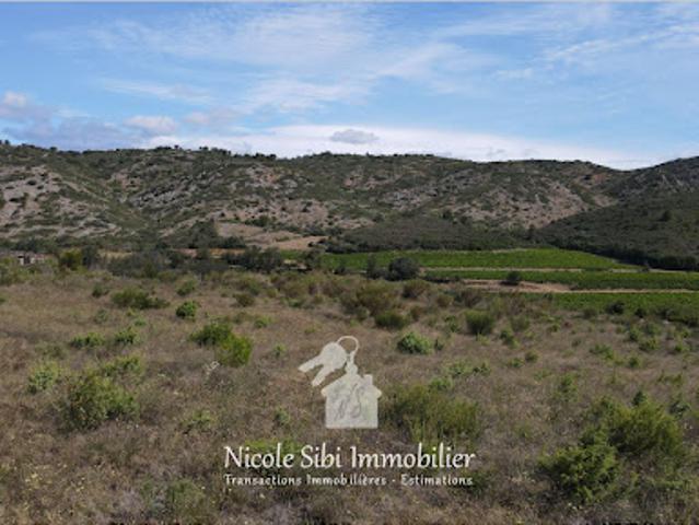 Vente Terrain 15861 m2 Estagel