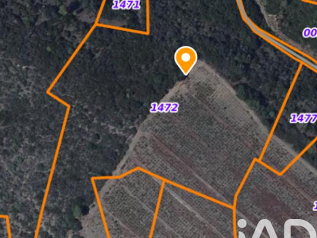 Vente Terrain 16000 m2 Saint Paul de Fenouillet