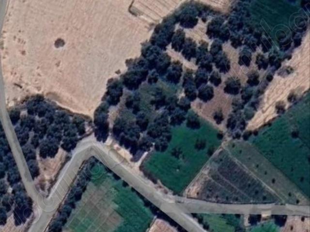 Vente terrain 16000 m² à Marrakech