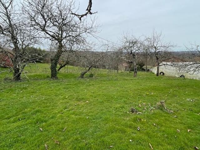 Vente Terrain 1600 m2 Aixe sur Vienne