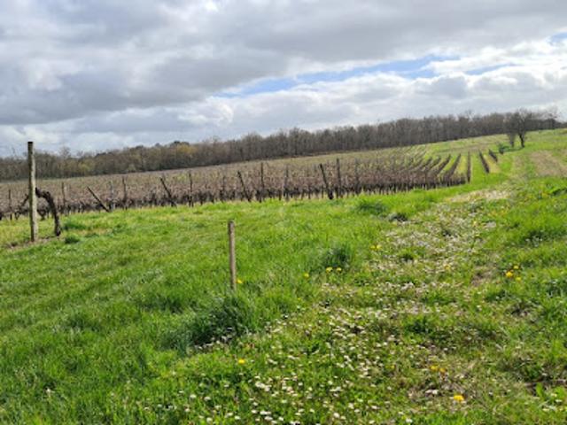 Vente Terrain 1600 m2 Baigneaux