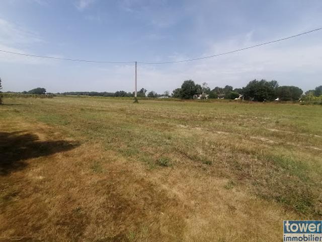 Vente Terrain 1600 m2 Montauban