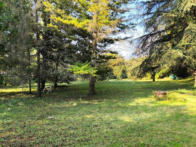 Vente Terrain 1600 m2 Javrezac