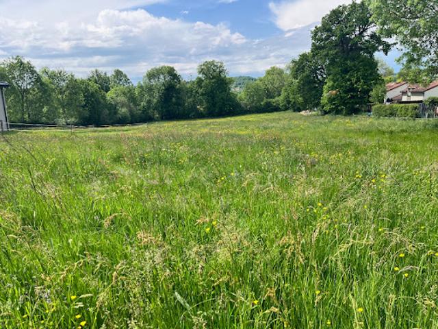 Vente Terrain 1600 m2 Jussac
