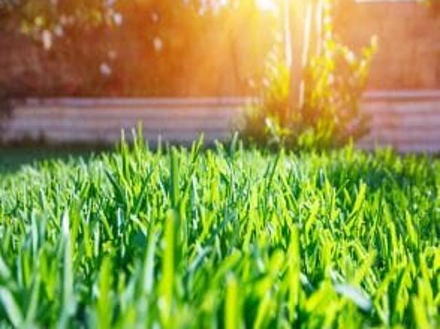 Vente Terrain 1600 m2 Machecoul