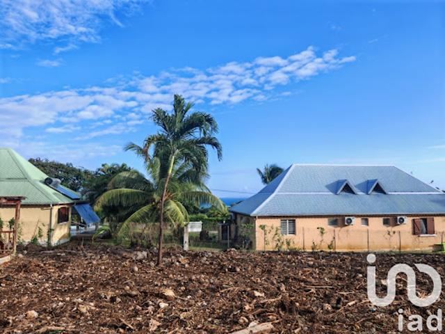 Vente Terrain 1600 m2 Sainte Anne