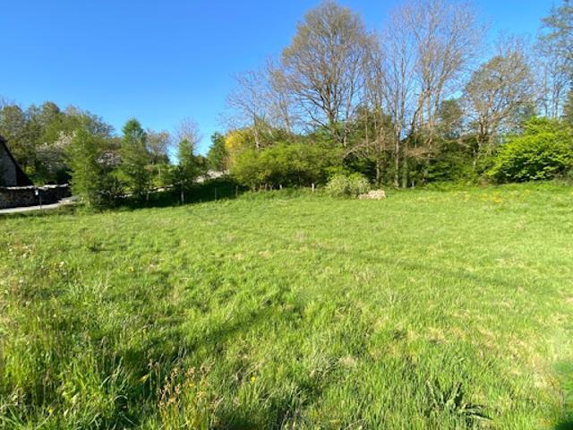 Vente Terrain 1600 m2 Petit Croix