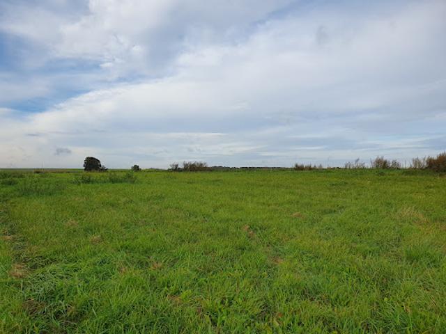 Vente Terrain 0 m2 Picquigny