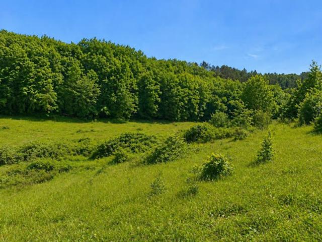 Vente Terrain 1600 m2 Trélissac