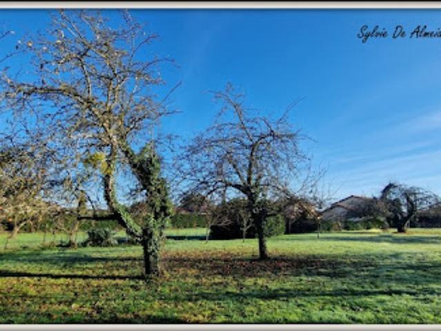 Vente Terrain 1604 m2 Feillens
