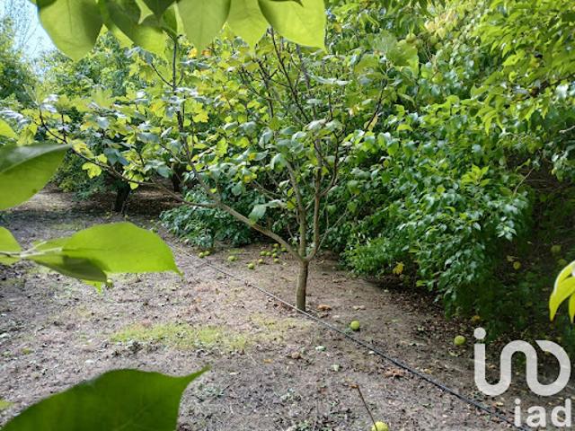 Vente Terrain 16110 m2 Bezouce