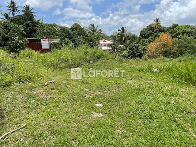 Vente Terrain 1617 m2 Le lamentin