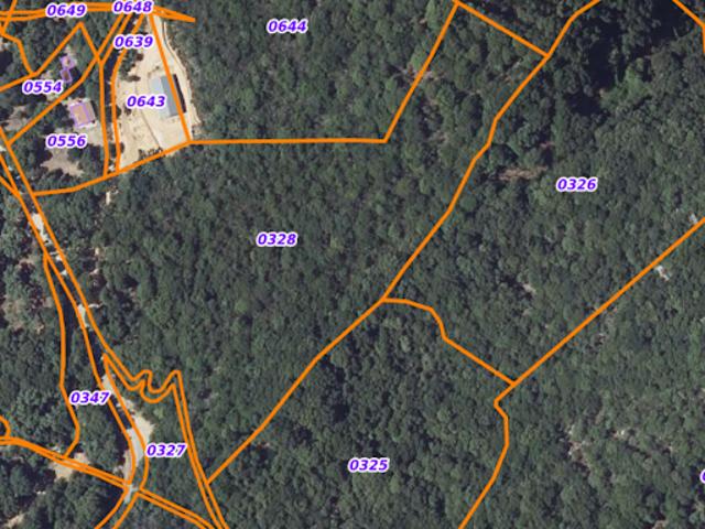 Vente Terrain 16217 m2 Casalabriva
