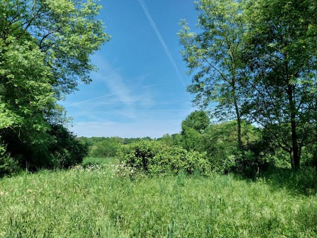 Vente Terrain 16254 m2 Roumazières Loubert