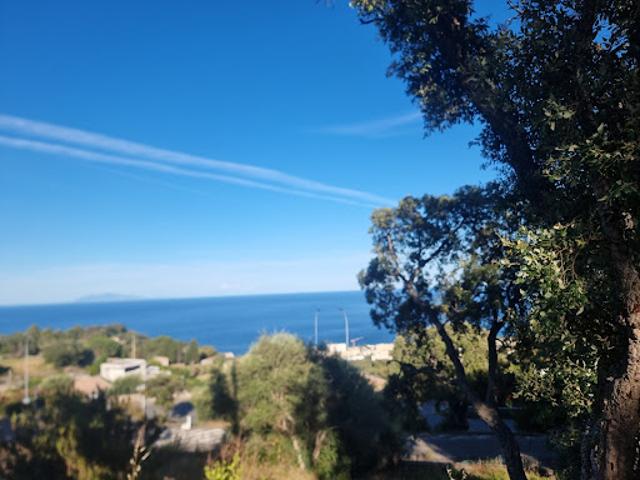 Vente Terrain 1625 m2 Bastia