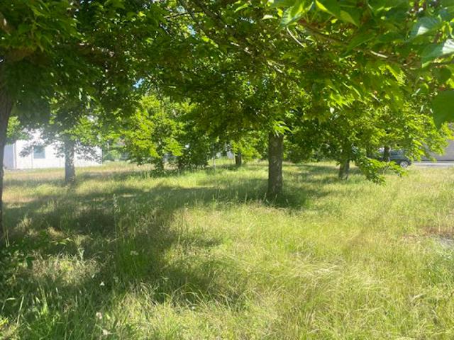 Vente Terrain 1626 m2 Séméac