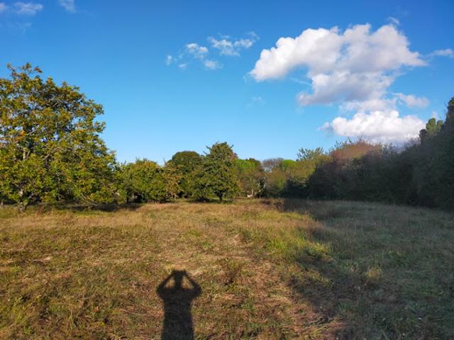 Vente Terrain 1627 m2 Les Métairies