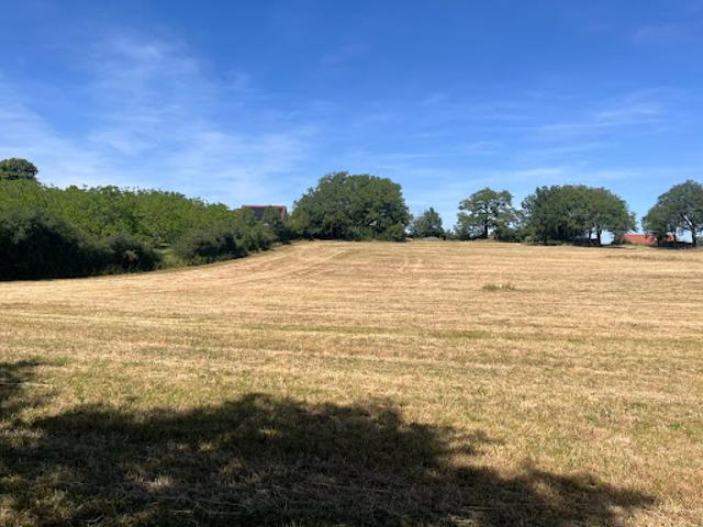 Vente Terrain 1632 m2 Saint Cirq Souillaguet