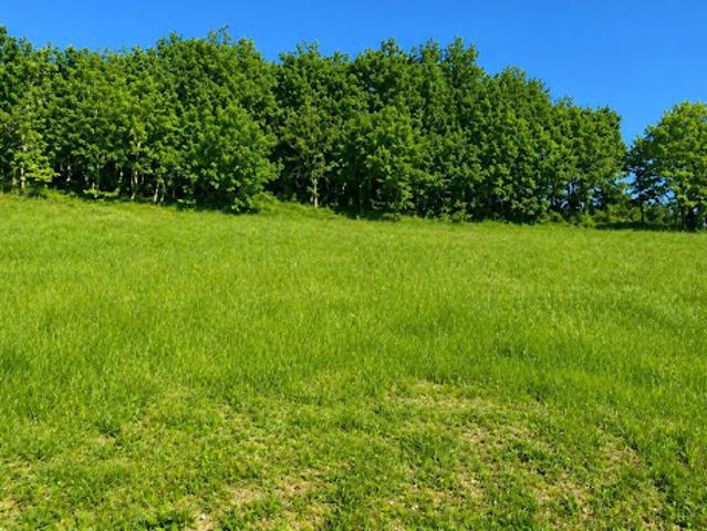 Vente Terrain 1639 m2 Celles