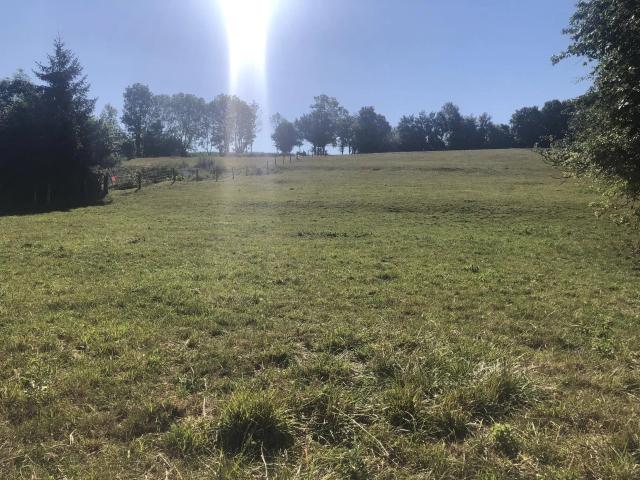 Vente Terrain 1646 m² à Dommartin Aux Bois 53 000 ¤