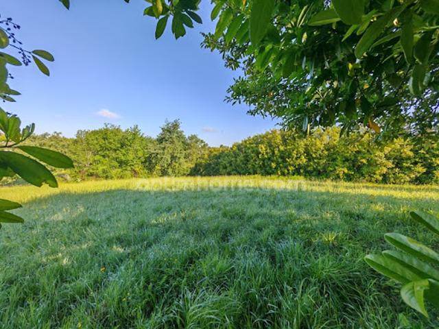 Vente Terrain 1650 m2 Eauze