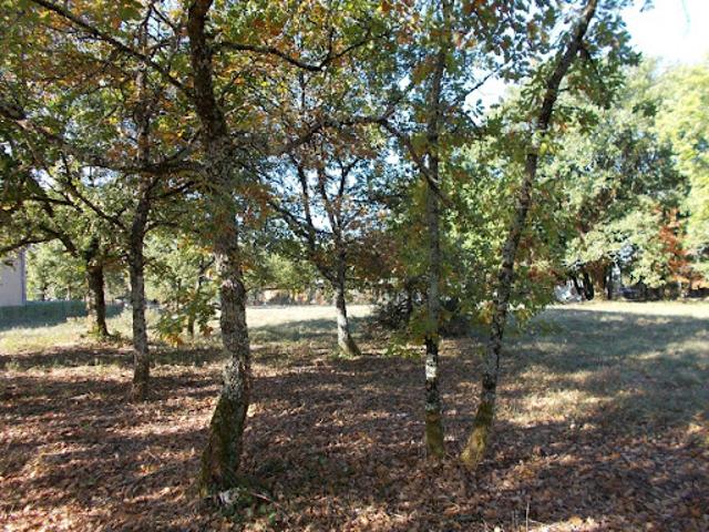 Vente Terrain 1650 m2 Lachapelle Auzac