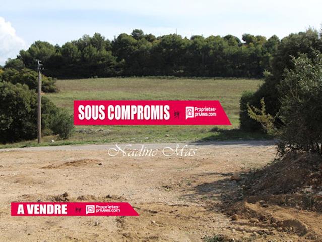Vente Terrain 1650 m2 Plan d'Aups Sainte Baume