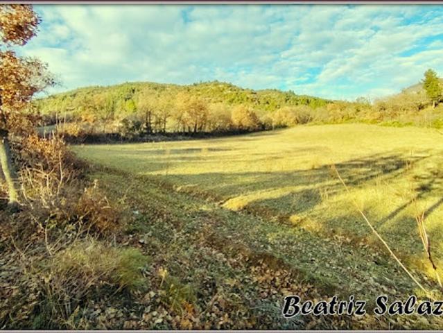 Vente Terrain 16523 m2 Mezel