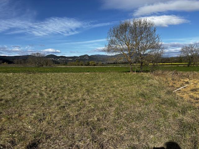 Vente Terrain 1660 m2 Berrias et Casteljau