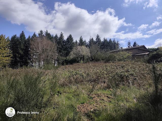 Vente Terrain 1679 m2 Chauffailles