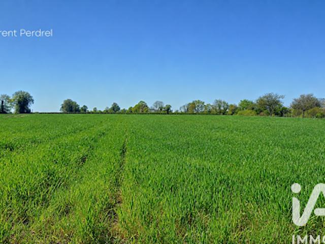 Vente Terrain 1687 m2 Allaire