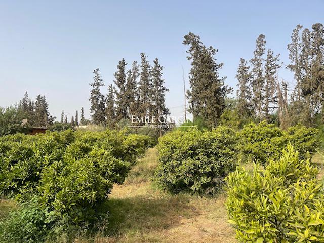 Vente Terrain 17000 m2 Mont de Marsan