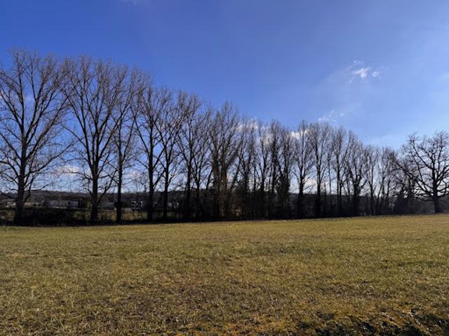 Vente Terrain 1700 m2 Champagne et Fontaine