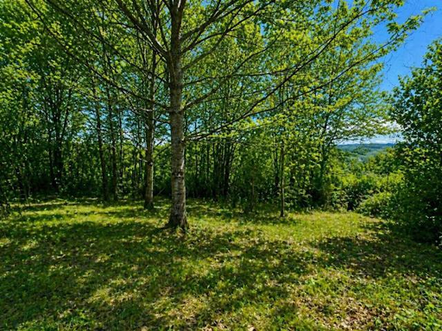 Vente Terrain 1700 m2 Agonac
