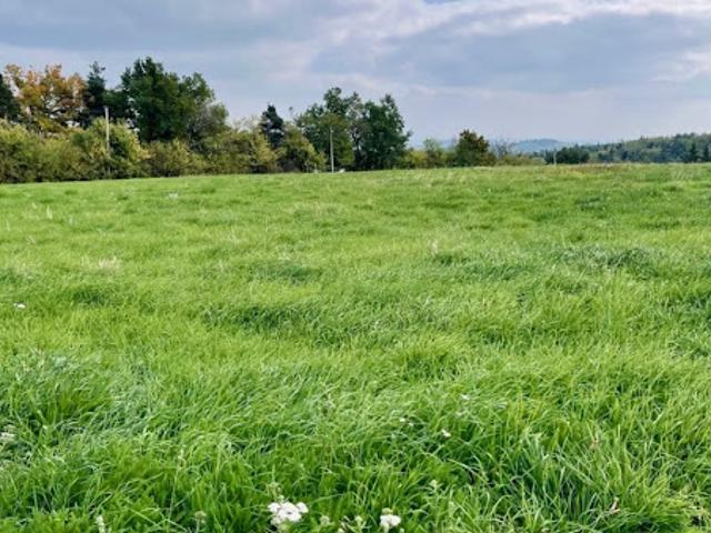 Vente Terrain 1709 m2 Vion