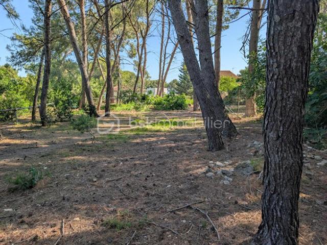 Vente Terrain 1711 m2 Beaucaire