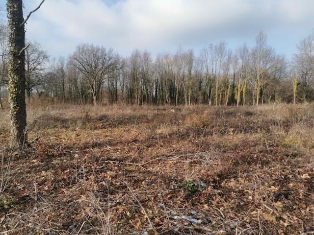 Vente Terrain 1711 m2 Saint Etienne de Vicq