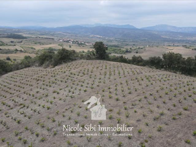 Vente Terrain 17200 m2 Montner